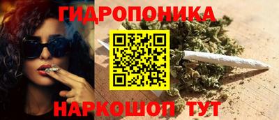мдпв Бийск