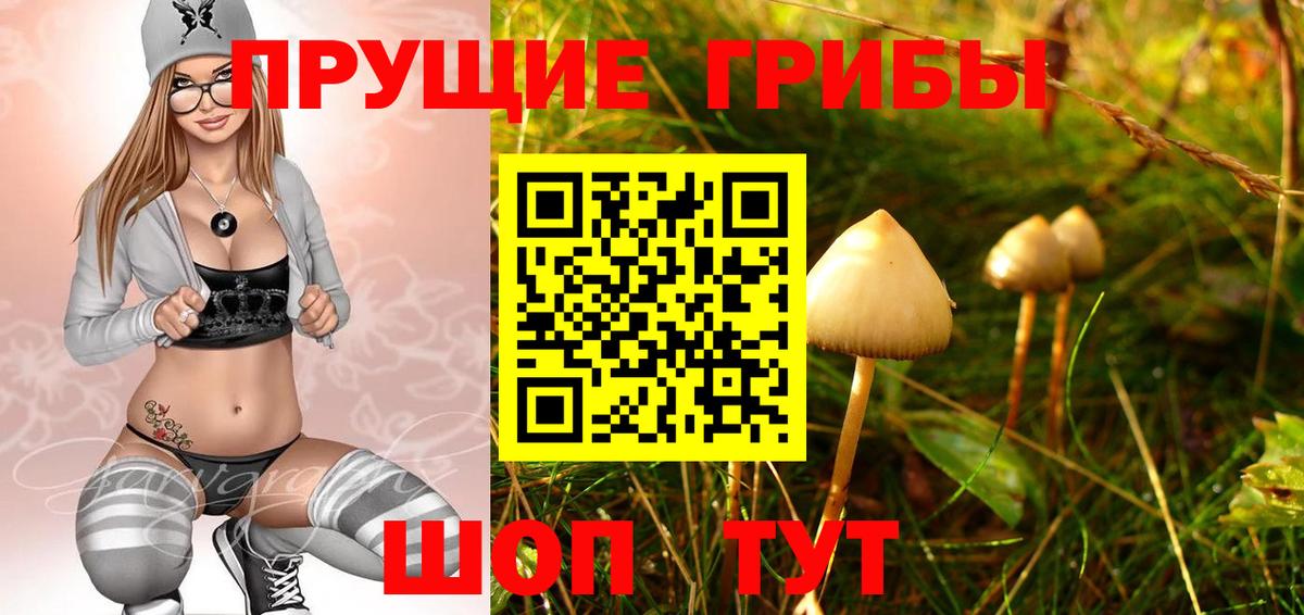 Галлюциногенные грибы мицелий  Вход с VPN  Кисловодск 