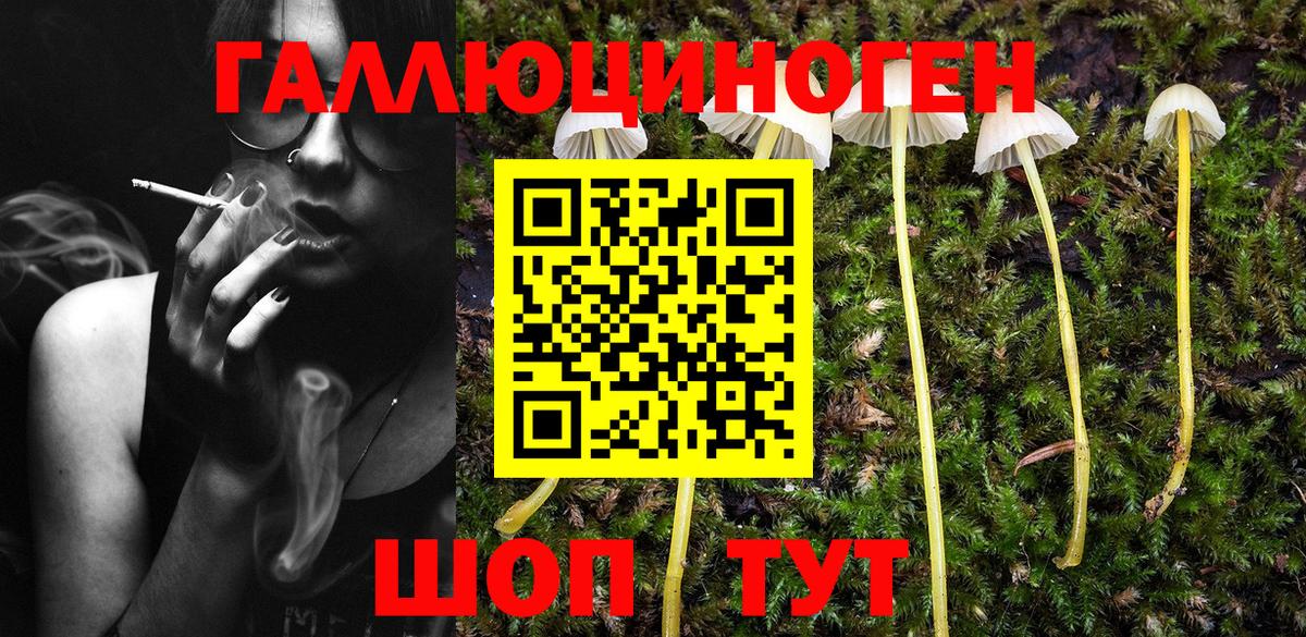 Псилоцибиновые грибы MAGIC MUSHROOMS Кисловодск